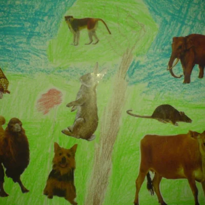 art13